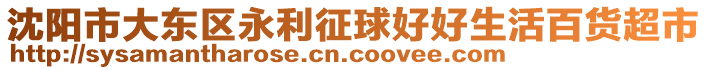 沈陽市大東區(qū)永利征球好好生活百貨超市