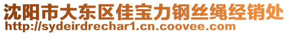 沈陽(yáng)市大東區(qū)佳寶力鋼絲繩經(jīng)銷處