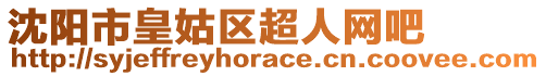 沈陽(yáng)市皇姑區(qū)超人網(wǎng)吧