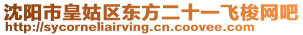 沈陽市皇姑區(qū)東方二十一飛梭網(wǎng)吧