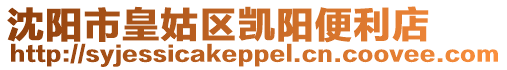 沈陽市皇姑區凱陽便利店