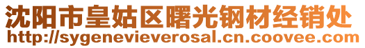 沈陽(yáng)市皇姑區(qū)曙光鋼材經(jīng)銷處