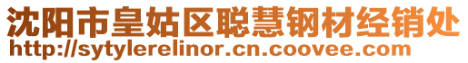 沈陽市皇姑區(qū)聰慧鋼材經(jīng)銷處