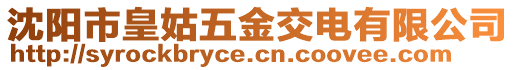 沈陽市皇姑五金交電有限公司