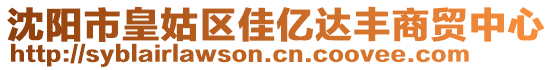 沈陽市皇姑區佳億達豐商貿中心