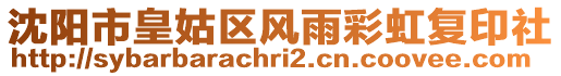 沈陽市皇姑區風雨彩虹復印社