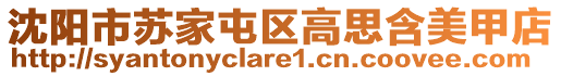 沈陽市蘇家屯區(qū)高思含美甲店