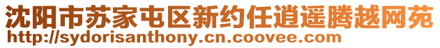 沈陽(yáng)市蘇家屯區(qū)新約任逍遙騰越網(wǎng)苑