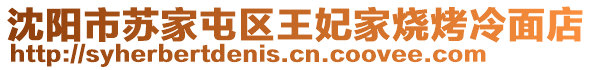 沈陽市蘇家屯區王妃家燒烤冷面店