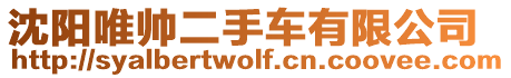 沈陽唯帥二手車有限公司