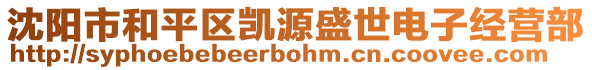 沈阳市和平区凯源盛世电子经营部