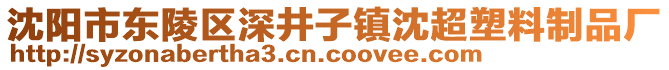 沈陽市東陵區(qū)深井子鎮(zhèn)沈超塑料制品廠