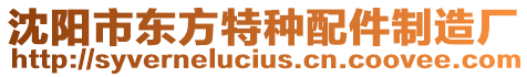 沈陽(yáng)市東方特種配件制造廠