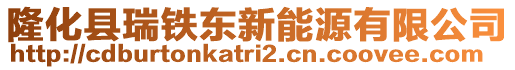 隆化縣瑞鐵東新能源有限公司