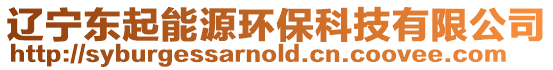 遼寧東起能源環(huán)保科技有限公司