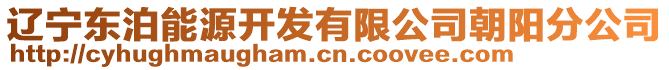 遼寧東泊能源開發(fā)有限公司朝陽分公司