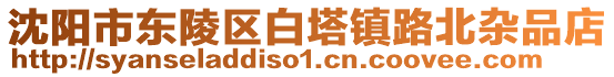 沈陽市東陵區(qū)白塔鎮(zhèn)路北雜品店