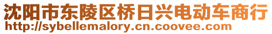 沈陽市東陵區(qū)橋日興電動車商行