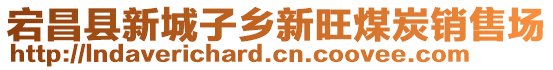 宕昌縣新城子鄉(xiāng)新旺煤炭銷售場(chǎng)