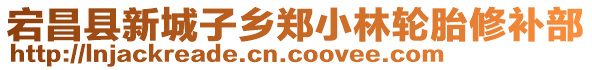 宕昌縣新城子鄉(xiāng)鄭小林輪胎修補(bǔ)部