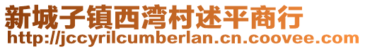 新城子鎮(zhèn)西灣村述平商行