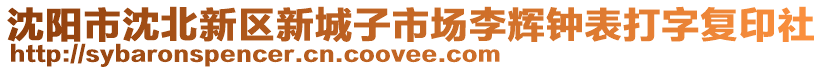 沈陽市沈北新區(qū)新城子市場李輝鐘表打字復印社