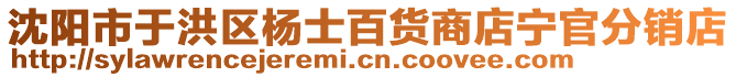 沈陽市于洪區(qū)楊士百貨商店寧官分銷店