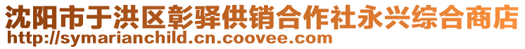 沈陽市于洪區(qū)彰驛供銷合作社永興綜合商店