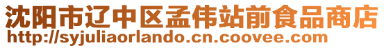 沈陽(yáng)市遼中區(qū)孟偉站前食品商店