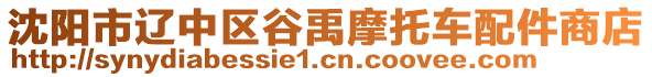 沈陽(yáng)市遼中區(qū)谷禹摩托車配件商店