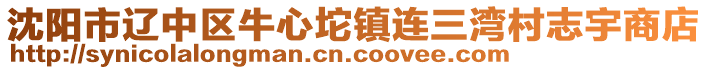 沈陽市遼中區(qū)牛心坨鎮(zhèn)連三灣村志宇商店