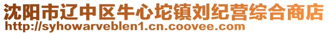 沈陽市遼中區(qū)牛心坨鎮(zhèn)劉紀營綜合商店