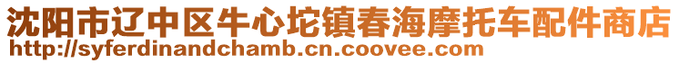 沈陽市遼中區(qū)牛心坨鎮(zhèn)春海摩托車配件商店