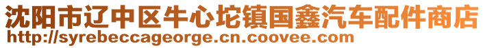 沈陽市遼中區(qū)牛心坨鎮(zhèn)國鑫汽車配件商店