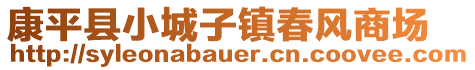 康平縣小城子鎮(zhèn)春風(fēng)商場