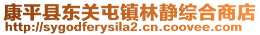 康平縣東關(guān)屯鎮(zhèn)林靜綜合商店
