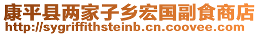 康平縣兩家子鄉宏國副食商店