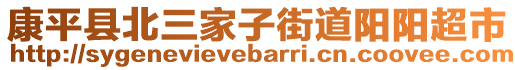 康平县北三家子街道阳阳超市