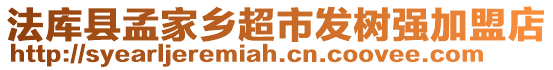 法库县孟家乡超市发树强加盟店