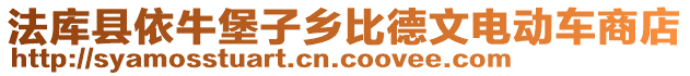 法庫縣依牛堡子鄉比德文電動車商店
