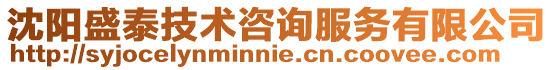 沈陽盛泰技術咨詢服務有限公司