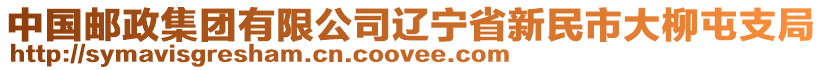 中國郵政集團有限公司遼寧省新民市大柳屯支局