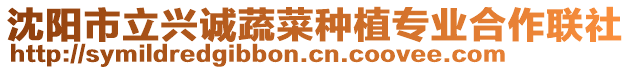 沈陽市立興誠蔬菜種植專業合作聯社