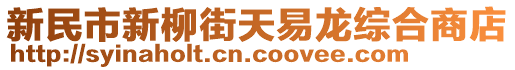 新民市新柳街天易龍綜合商店