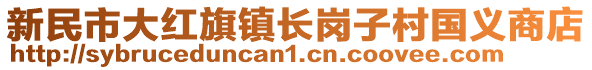 新民市大紅旗鎮(zhèn)長崗子村國義商店