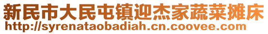新民市大民屯鎮(zhèn)迎杰家蔬菜攤床