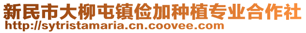 新民市大柳屯鎮(zhèn)儉加種植專業(yè)合作社