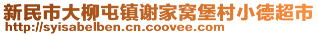 新民市大柳屯鎮(zhèn)謝家窩堡村小德超市