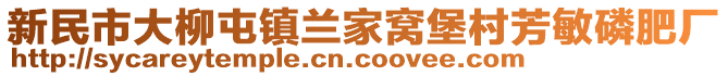 新民市大柳屯鎮(zhèn)蘭家窩堡村芳敏磷肥廠