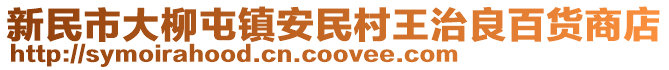 新民市大柳屯鎮(zhèn)安民村王治良百貨商店